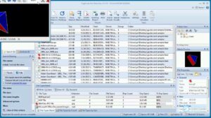 Duplicate File Detective