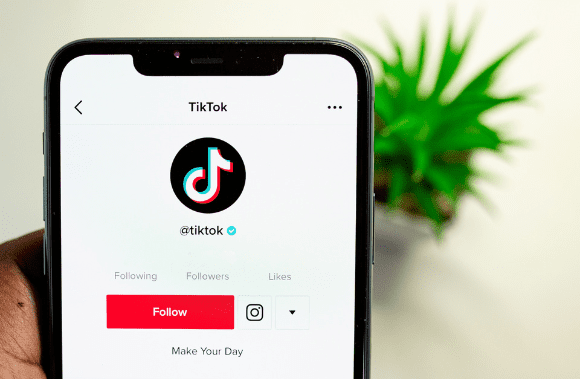 tiktok filter remover