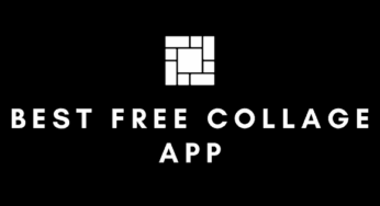7 Best Free Collage App To Use In 2024