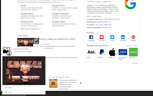Image Downloader Extensions Chrome